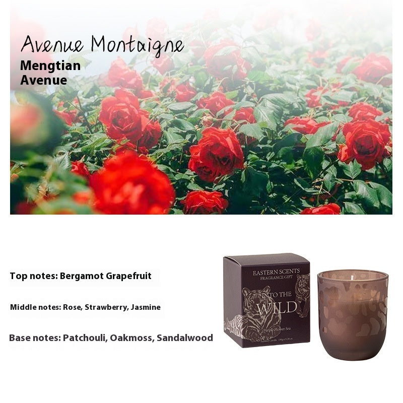 Handmade Smokeless Fragrance Candle Set – Scented Home Décor Gift